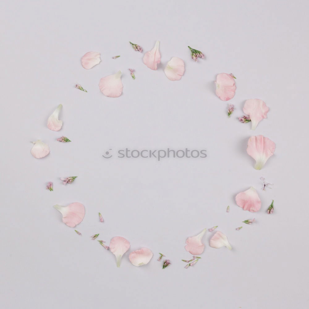 Similar – Image, Stock Photo Round frame of pastel pink flowers