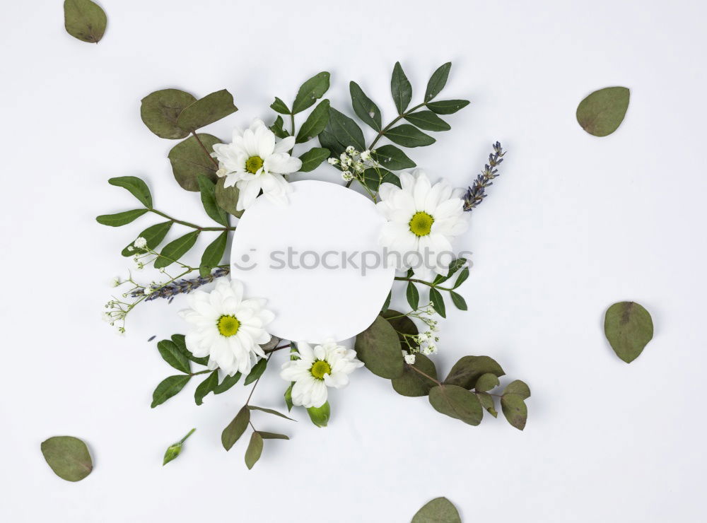 Similar – Image, Stock Photo spring wreath Nature