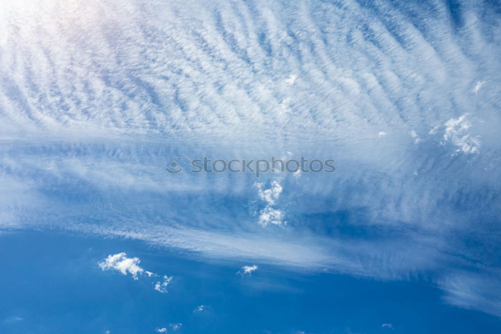 Similar – Image, Stock Photo Movement at the moment