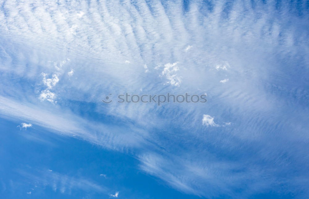 Similar – Image, Stock Photo Movement at the moment