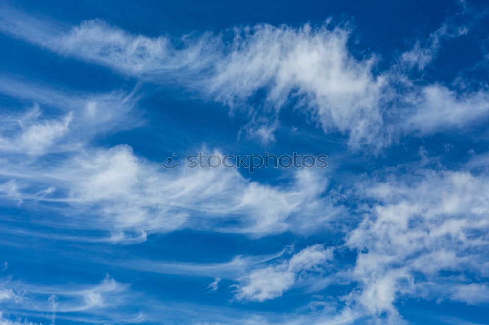 Similar – Image, Stock Photo Ice crystals 03 Winter