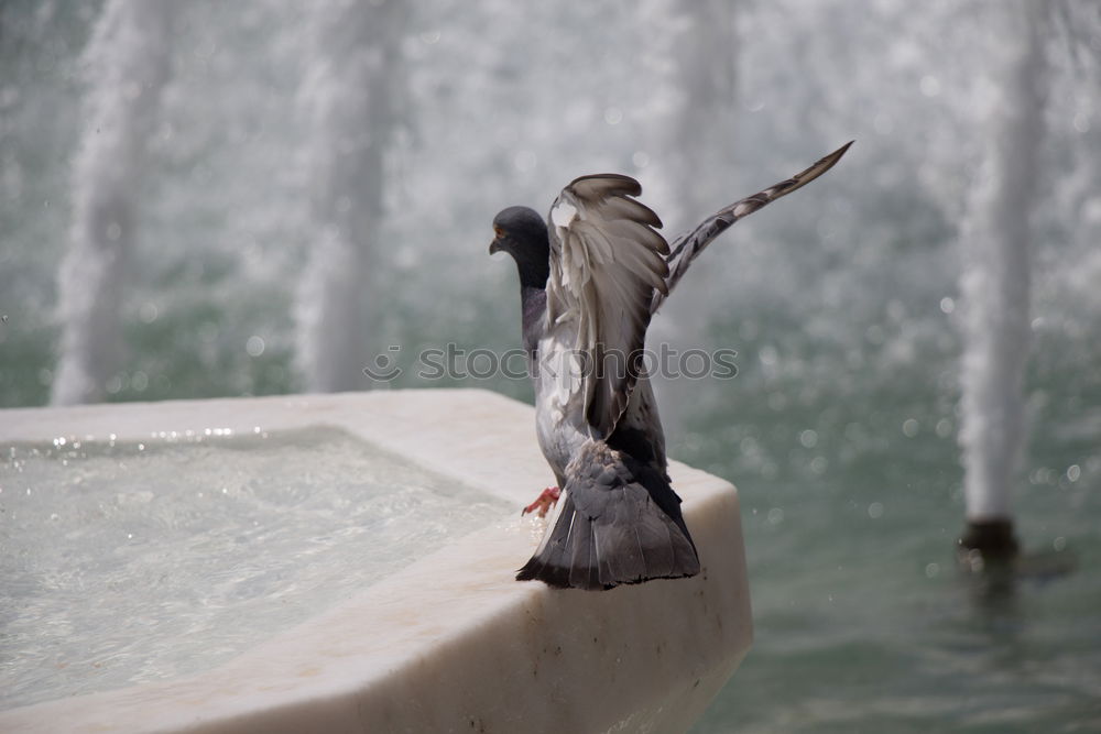 Similar – Image, Stock Photo drinking fountain Well