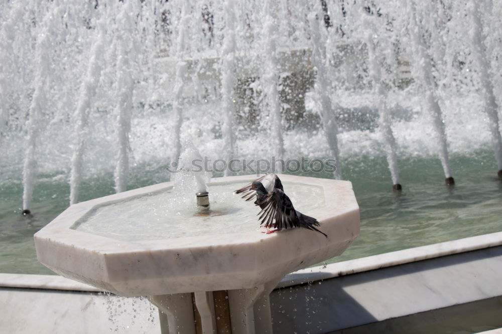 Similar – Image, Stock Photo drinking fountain Well