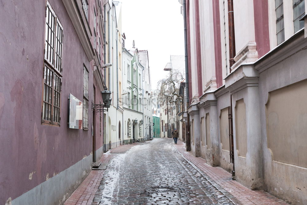 Similar – Pigeon at Bairro Alto