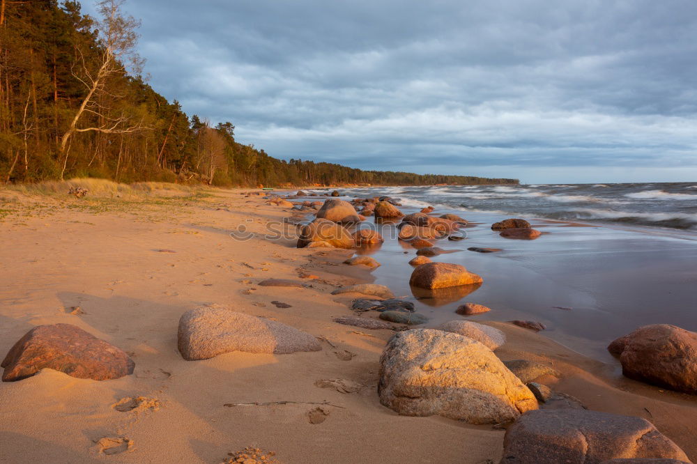 Similar – Image, Stock Photo tempest Beach Ocean Waves