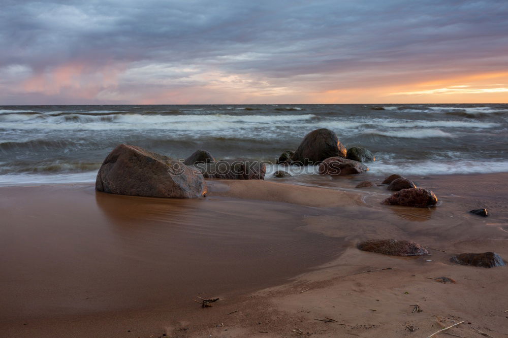 Similar – Heiligendamm Nature