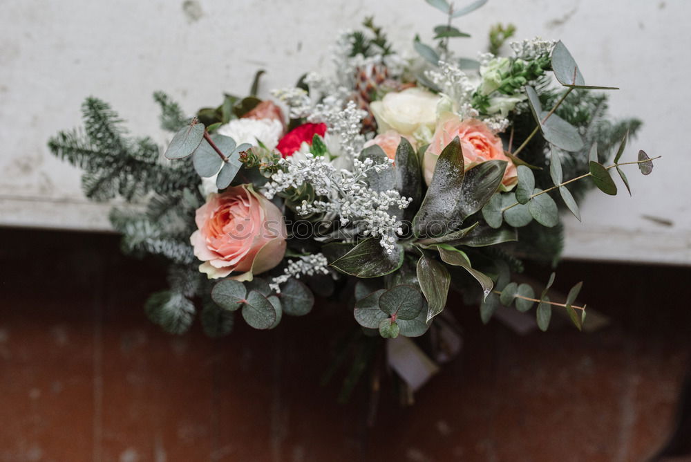 Similar – Image, Stock Photo flowers Wood Basket Flower