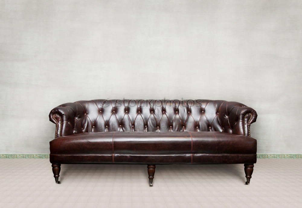 Similar – Image, Stock Photo Freud 2006 Sofa Relaxation