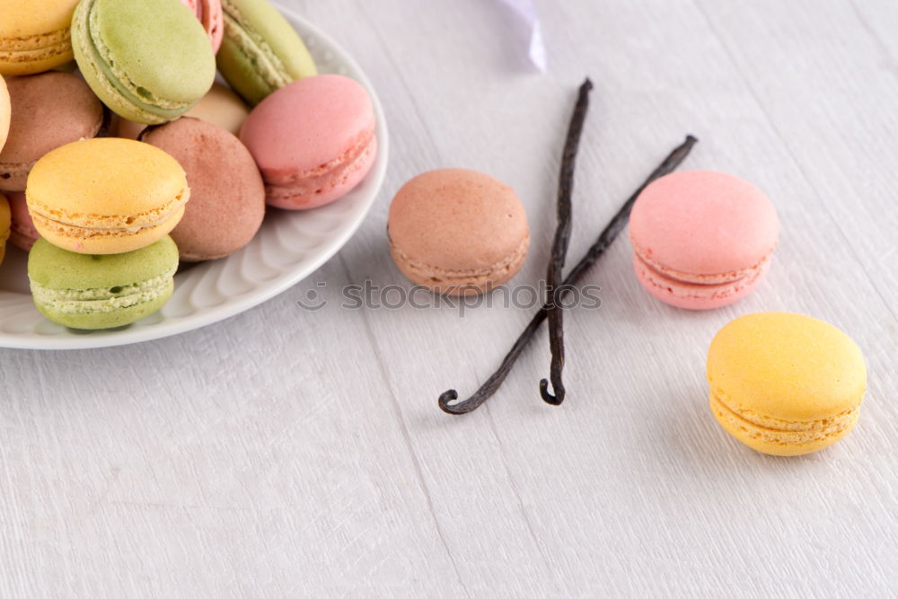 Similar – Multi-colored pastries macarons