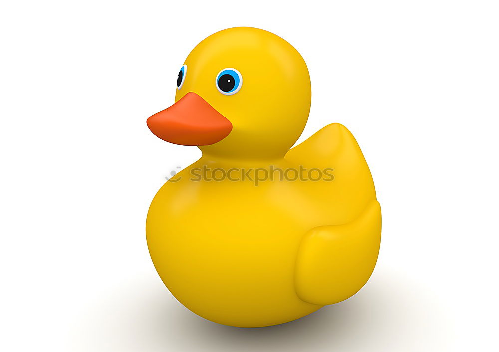 Similar – squeaky duck Squeak duck