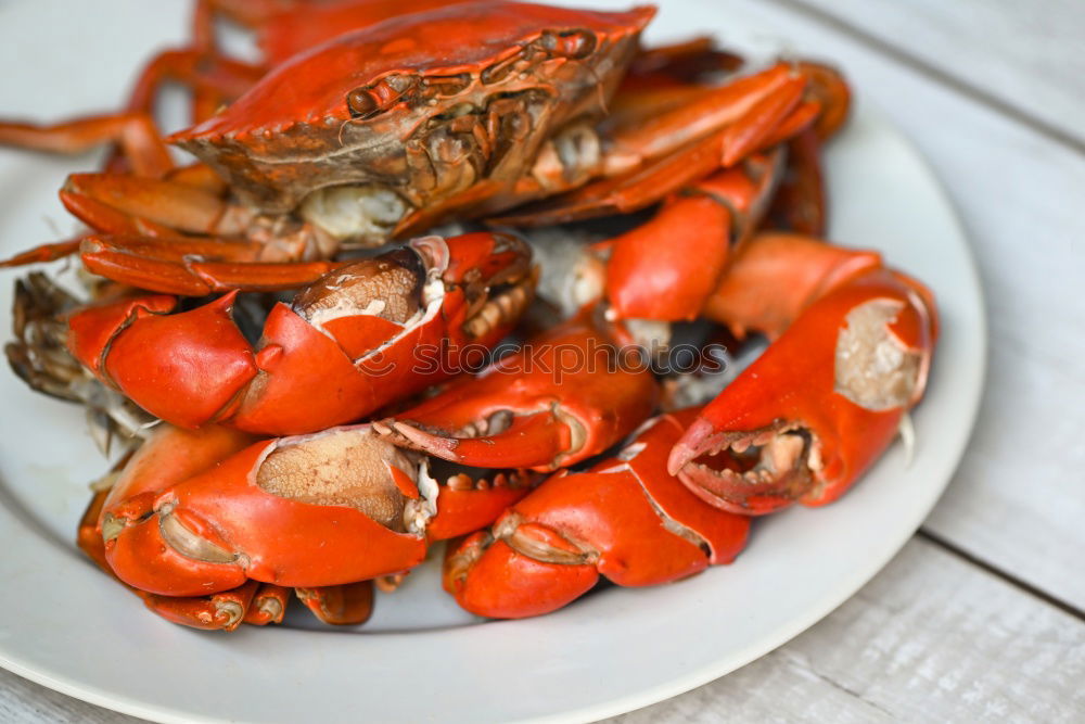 Similar – Image, Stock Photo Food photo II