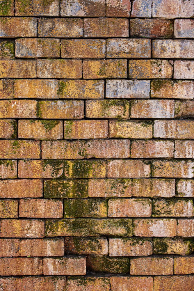 Similar – Abgefallener Putz an Backsteinwand. Verwitterte  Wand aus Backstein, Naturstein und marodem Putz. Sanierungsbedürftig