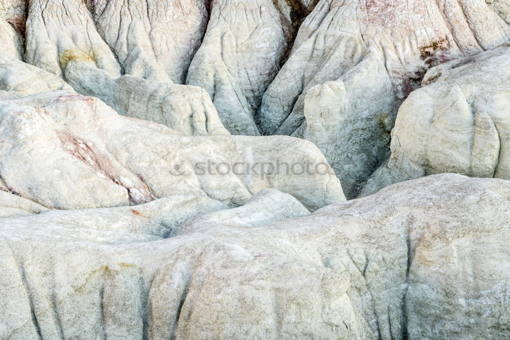 Image, Stock Photo Spring-(s)WALL Exotic