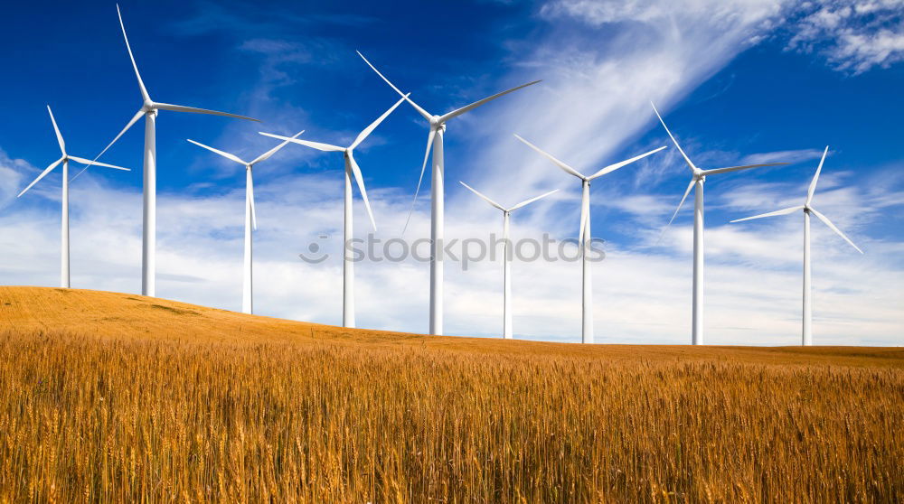 Similar – .:: Windmill II ::. Field