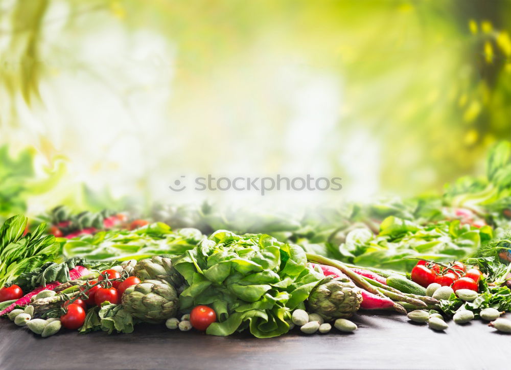 Similar – Preparing ingredients for pickling cucumbers