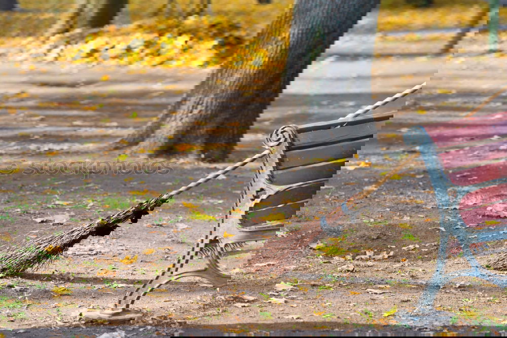 Similar – Image, Stock Photo Autumn Whisper II