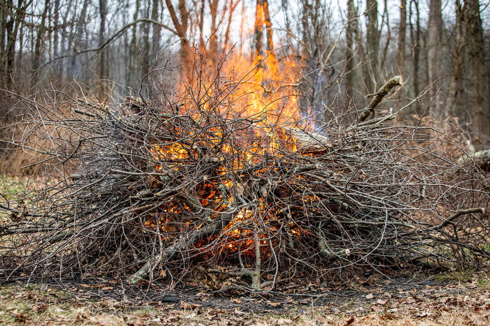 Similar – Image, Stock Photo firestarter Fire Summer