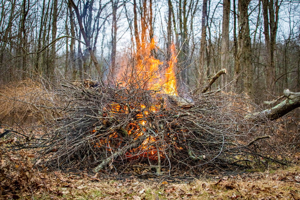 Similar – Image, Stock Photo firestarter Fire Summer