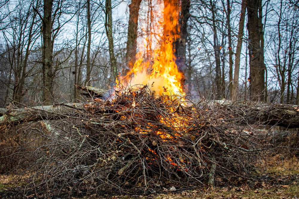 Similar – Image, Stock Photo firestarter Fire Summer