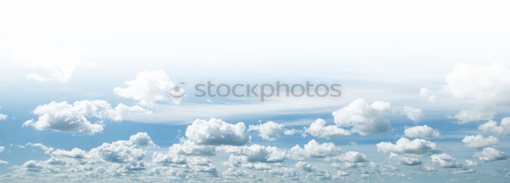 Similar – Image, Stock Photo Fluffy Environment Nature