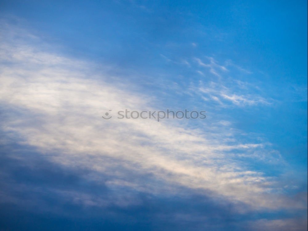 Similar – Endlich Vogelfrei! Himmel