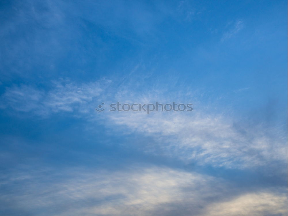 Similar – Endlich Vogelfrei! Himmel