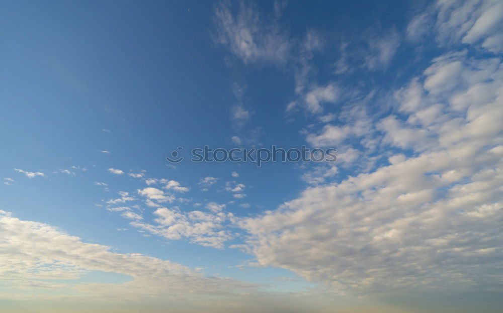 Similar – Image, Stock Photo the wind loves the grass