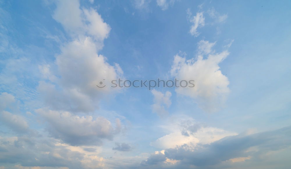 Similar – Foto Bild Kahles gen Himmel Baum