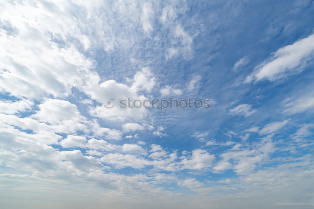 Similar – Image, Stock Photo desert sun Landscape Sand