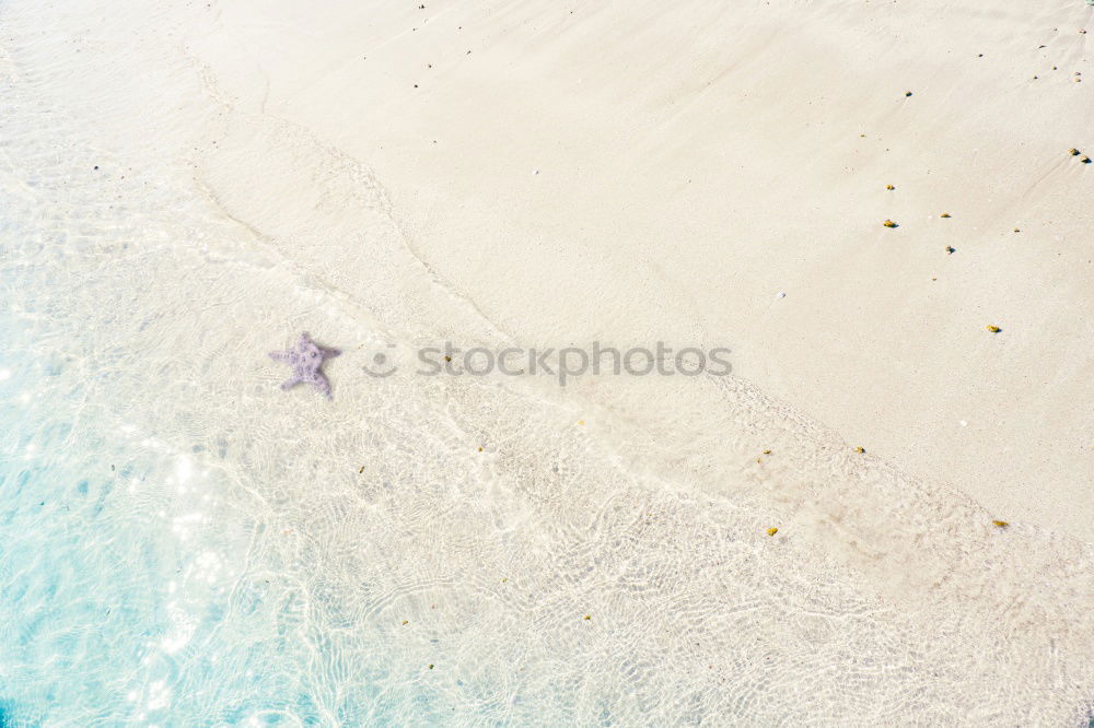 Similar – Image, Stock Photo beach walk