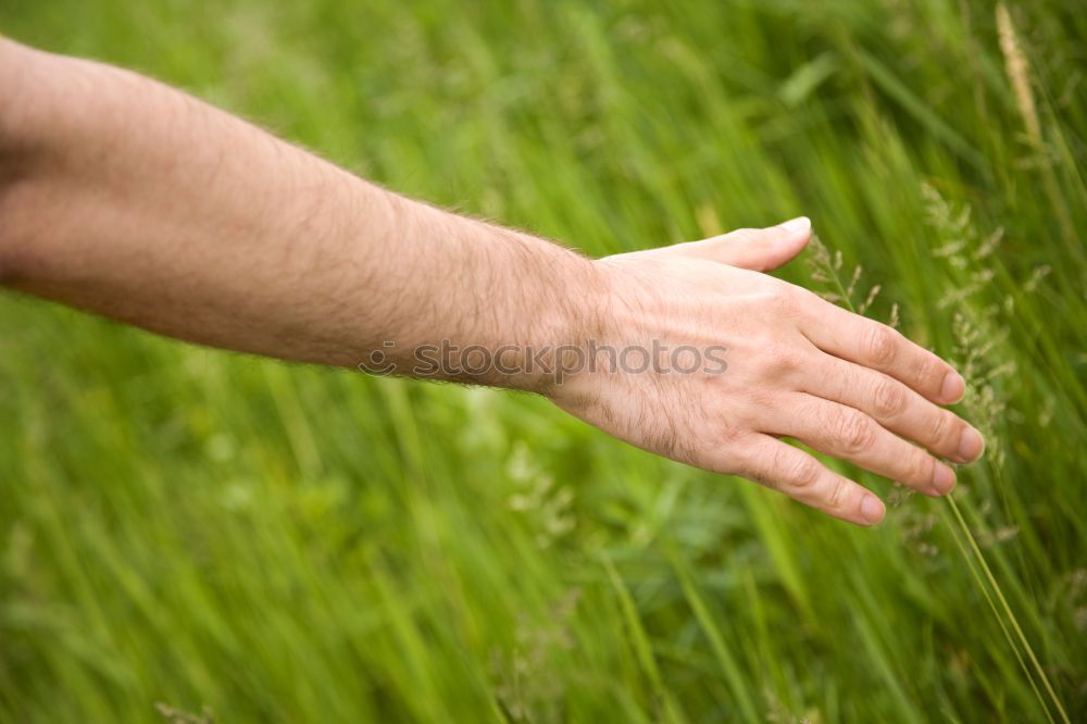 Similar – Image, Stock Photo Hand full of wild berries