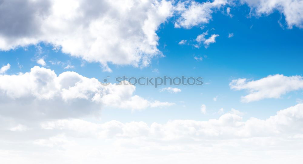 Similar – Image, Stock Photo Palermo Cathedral texture background