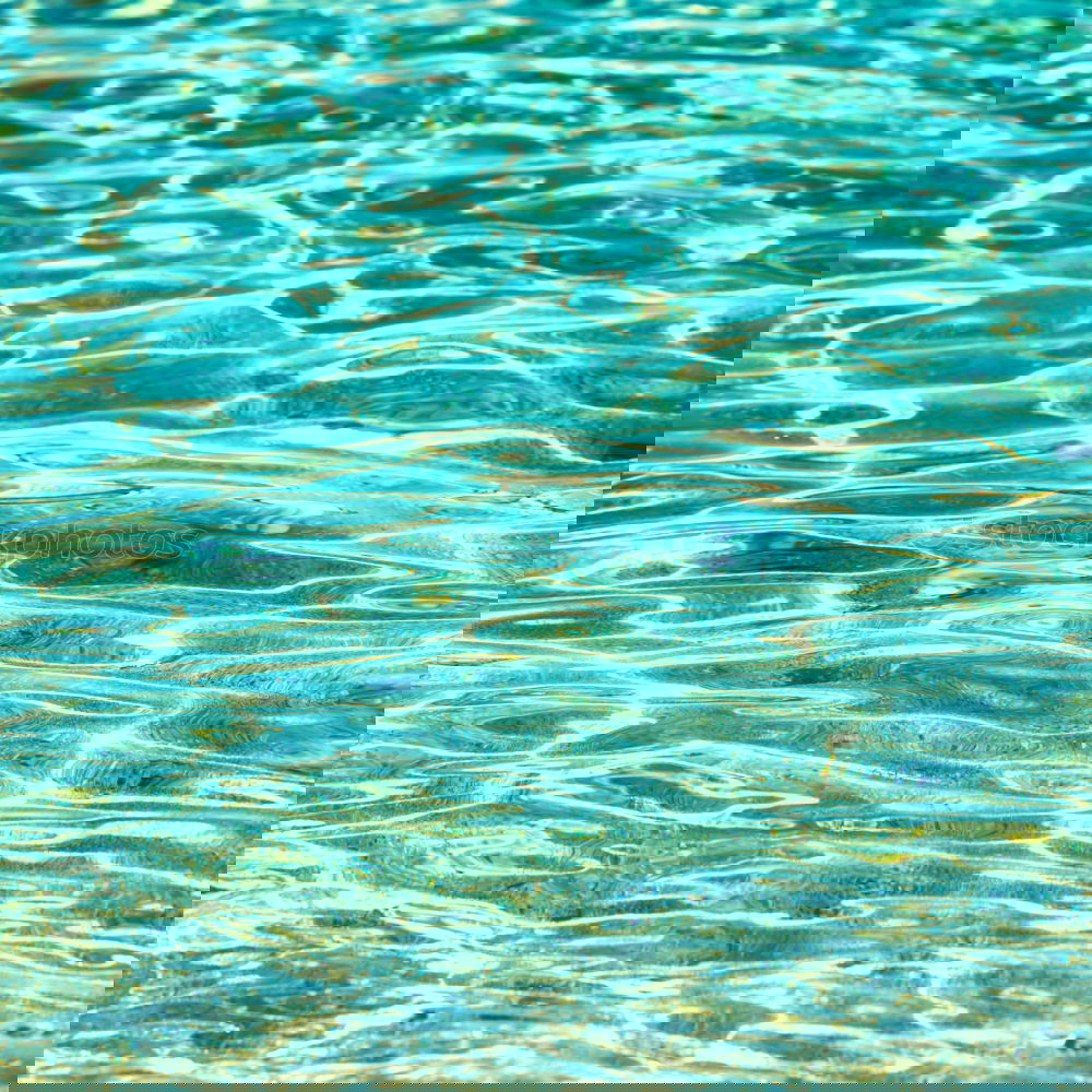Similar – Foto Bild bald ist Freibadsaison