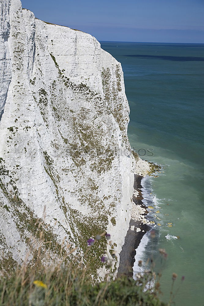 Similar – white cliffs Natur