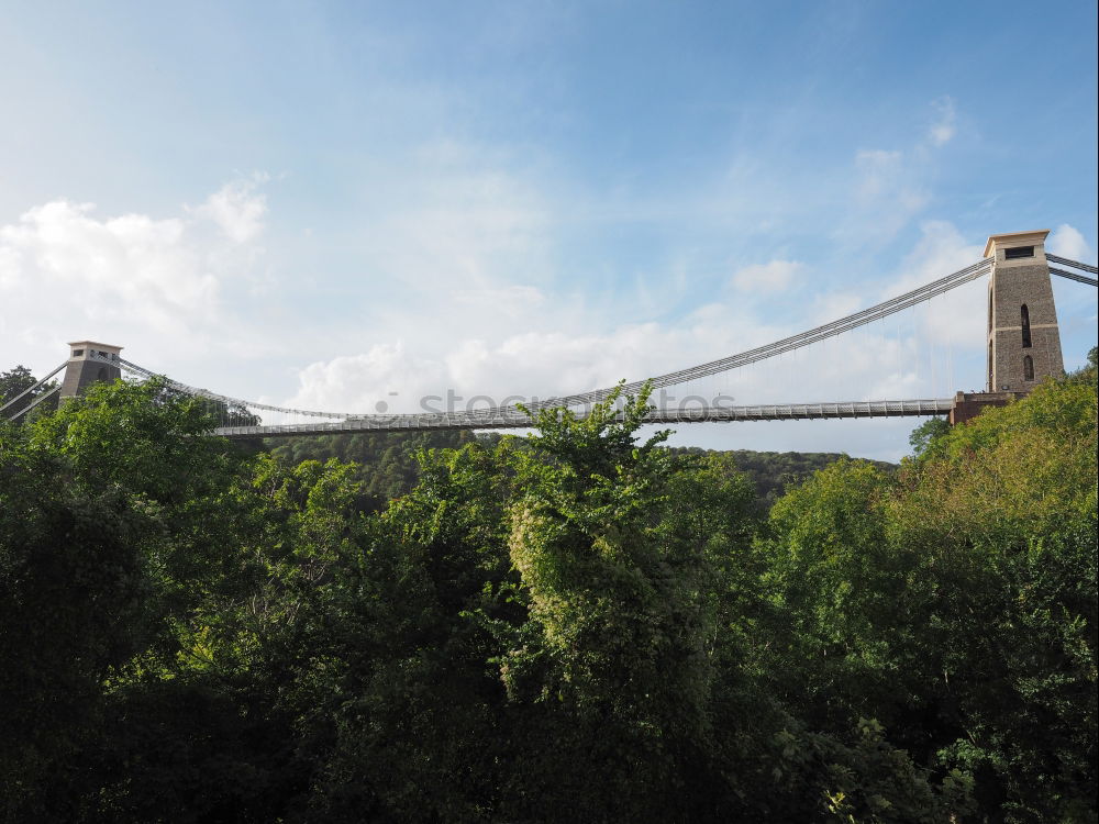 Similar – Laubbrücke Blatt Himmel