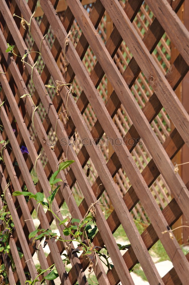 Similar – double fencing