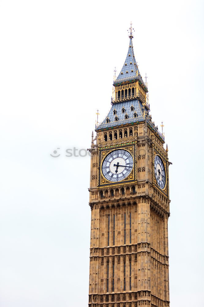 Seagull at Big Ben