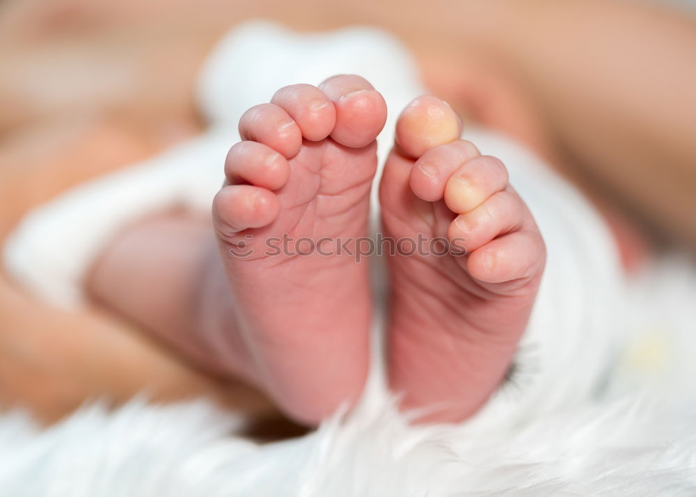 Similar – Image, Stock Photo the second week of life