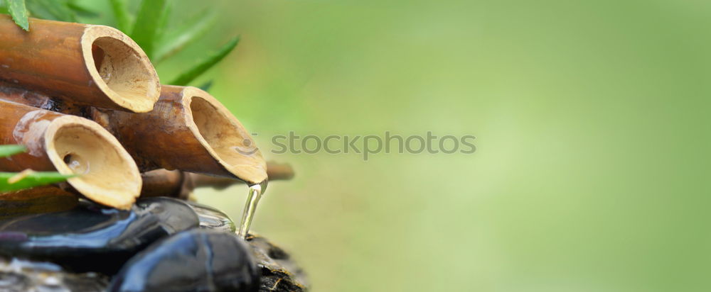 Similar – Image, Stock Photo escargot Vineyard snail