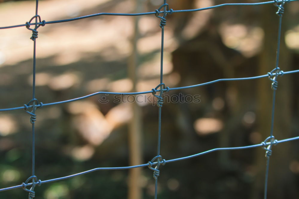 Similar – Image, Stock Photo walk detail Fence