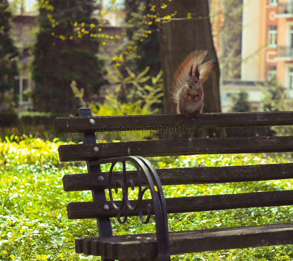 Similar – Image, Stock Photo Red London mailbox Mailbox