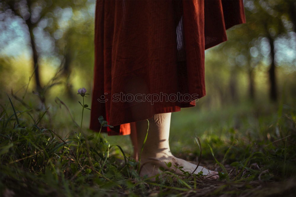 Similar – Image, Stock Photo Hiking adventure in the woods and forest