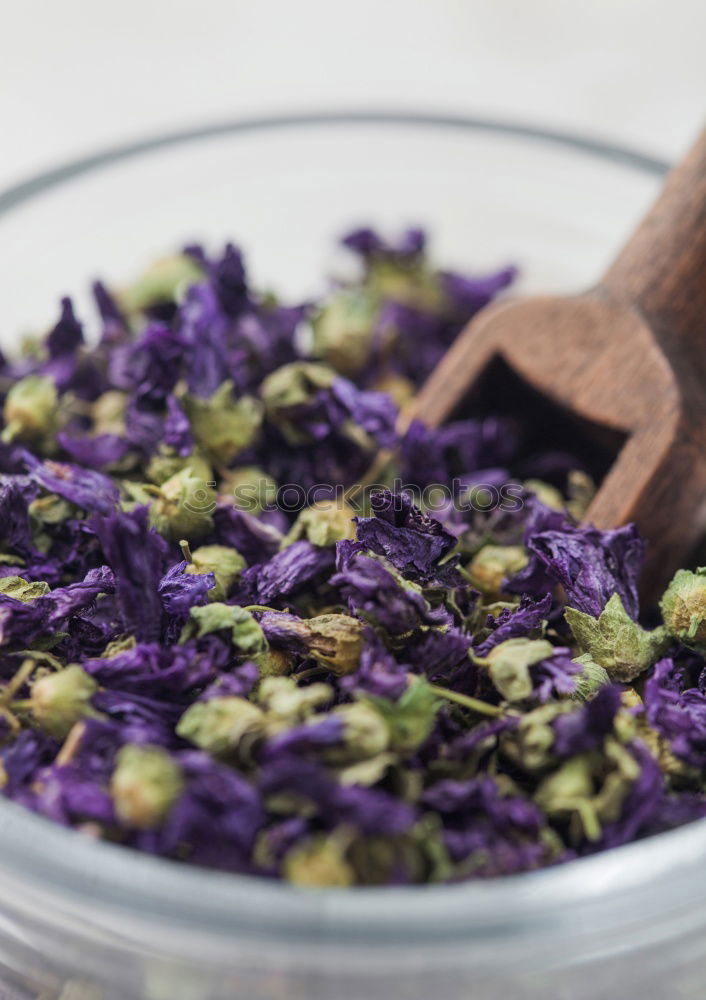 Similar – Dried blue butterfly pea flowers