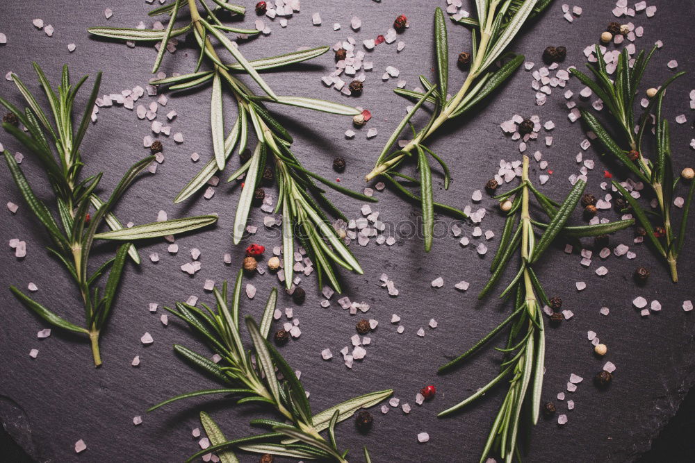 Similar – Bouquet of white flowers on stand