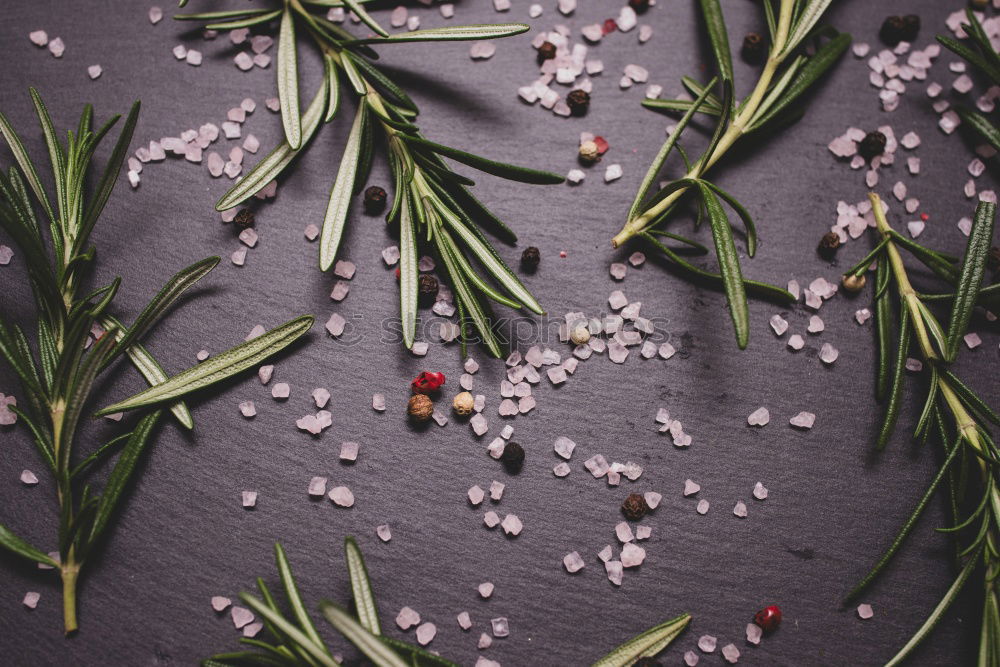 Image, Stock Photo Bouquet of white flowers on stand