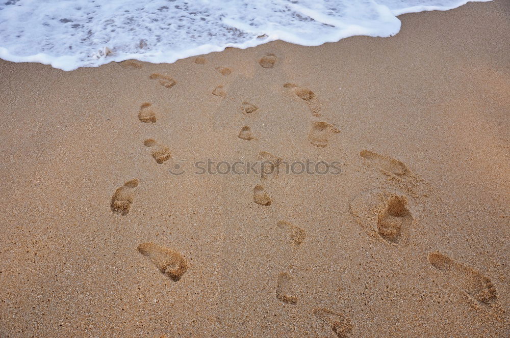 Similar – Carribean Footprints Beach