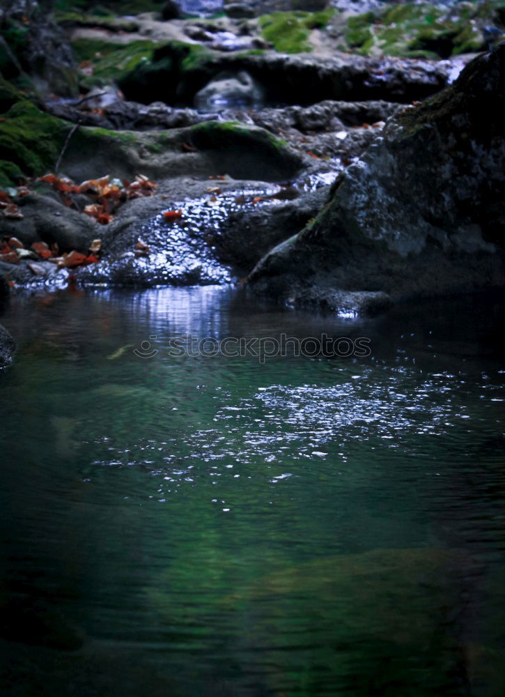 Similar – tree stump Lake Green