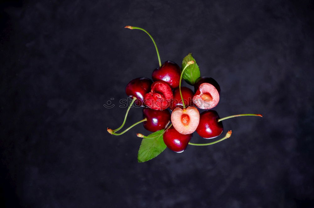 Similar – Image, Stock Photo unsprayed organic apple harvest