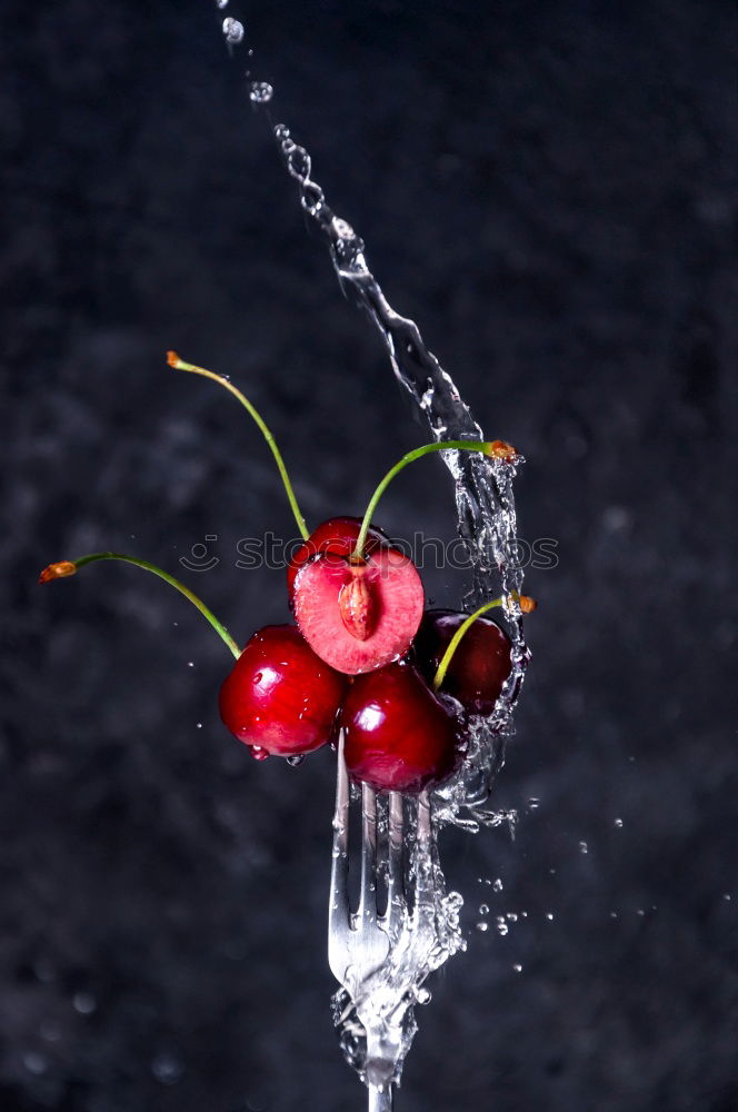 Similar – Image, Stock Photo cocktail tomatoes Food