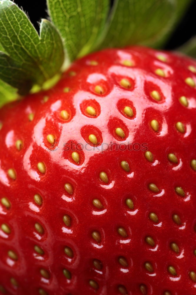 Similar – Foto Bild Strawberry 1 rot grün weiß